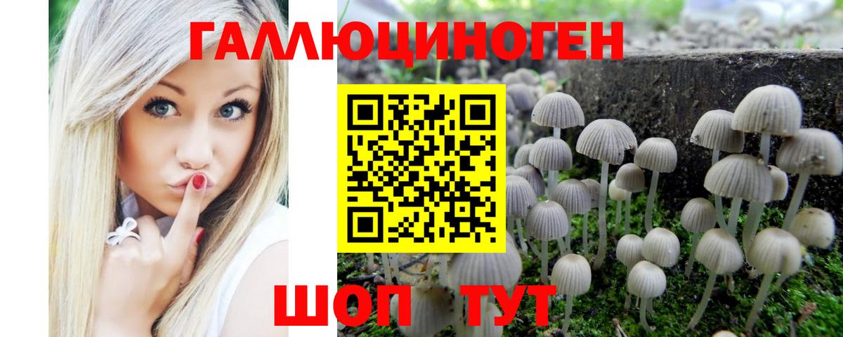 Богородск  дарнет шоп  Вход с VPN  Псилоцибиновые грибы Psilocybine cubensis 